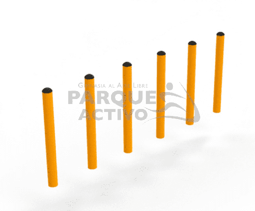 [7805] Slalom canino